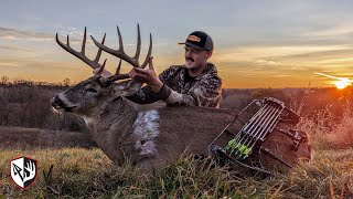 Giant Piebald Buck With A Bow! | Illinois Rut Hunt #bowhunting #hunting #whitetaildeer