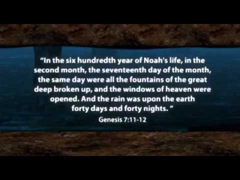 Noah's flood and fossils