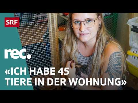 Spyware auf dem Handy: Wie verbreitet ist private Spionage?