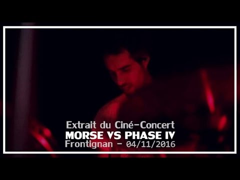 Morse - Morse VS Phase IV - Extrait 1