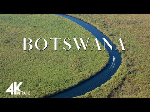 Botswana 4k Scenic Amazing Wildlife Film