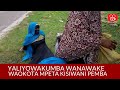 Kilichowakuta Waokota Mpeta Pemba
