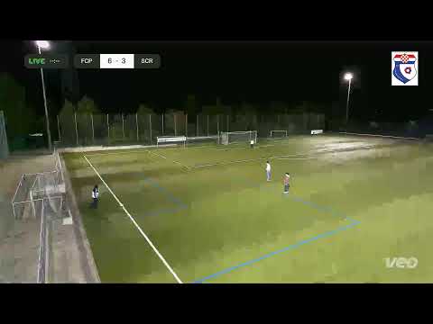 SC Riedberg vs FC Posavina Frankfurt e.V.