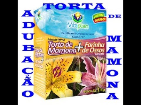 , title : 'Adubando Orquídea Com Torta de Mamona !!!✴️'