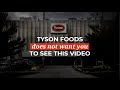 Tyson Foods Does Not Want You To See This Video The Humane League