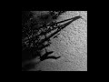 Max Richter - Horizon Variations (Official Audio)