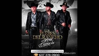 La Noche Perfecta - Los Plebes Del Rancho De Ariel Camacho (En Vivo Con Tololoche)