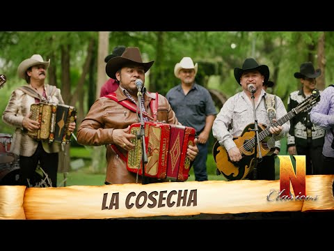 La Cosecha - Norteños Clásicos