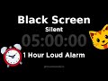 Black Screen 🖥 5 Hour Timer (Silent) 1 Hour Loud Alarm | Sleep and Relaxation