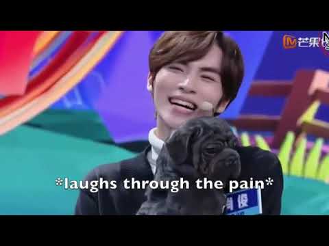 That one time Xiaojun from WayV dropped a dog (Happy Camp)
