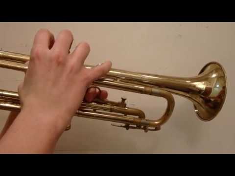 Finite Volume but Infinite Surface Area: Gabriel's Horn Explained