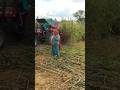 Kheti Badi Ro Dhando Apna Shorts Newsong Trending Song Rajasthan Marwadi Hitsong Reels