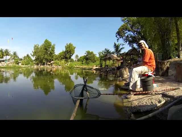 Фидер в тропиках. Tropical Feeder Fishing.