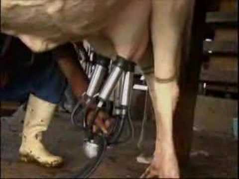 Institucional Fazenda Lapa