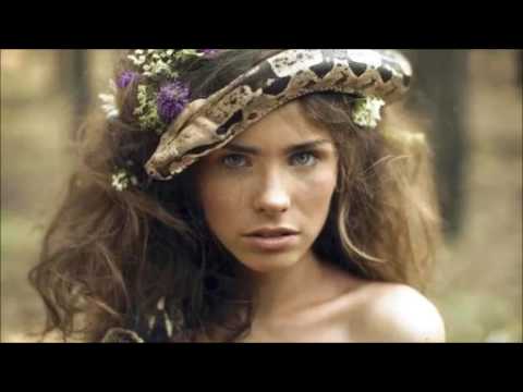 PÁR TÓNŮ - The Flowers