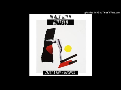 Black Gold Buffalo - Magnets
