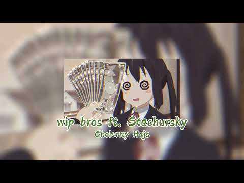 wip Bros feat. Stachursky - Cholerny Hajs (slowed)