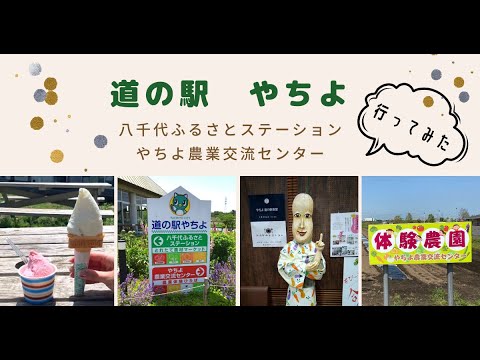 道の駅　やちよ