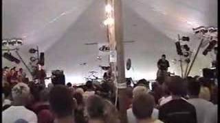 twothirtyeight - To The Concerned