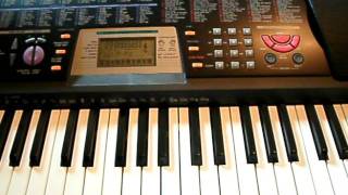 Casio GTK-318 In Demo Mode Crocodile Rock