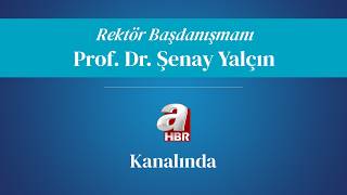 Prof. Dr. Şenay Yalçın A Haber'de enerji piyasalarını değerlendirdi