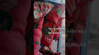 Download lagu view bantal mp3