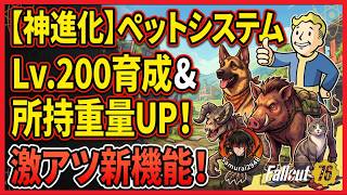【PTS】ペットシステムが神進化！レベル200育成＆「所持重量UP」など新機能が激アツ！【Fallout76攻略　フォールアウト76　Samurai2948】
