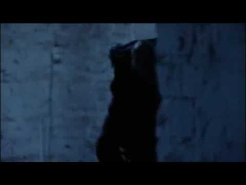 n1ckola ep. 27 Poradzisz sobie beze mnie