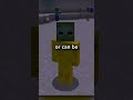 Minecraft Mob Heads Have A CRAZY Secret Use