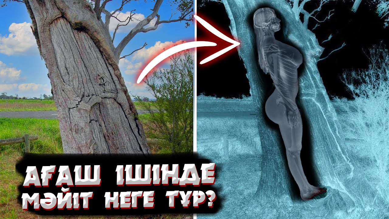 Күтпеген орындардан табылған 13 ғажайып зат