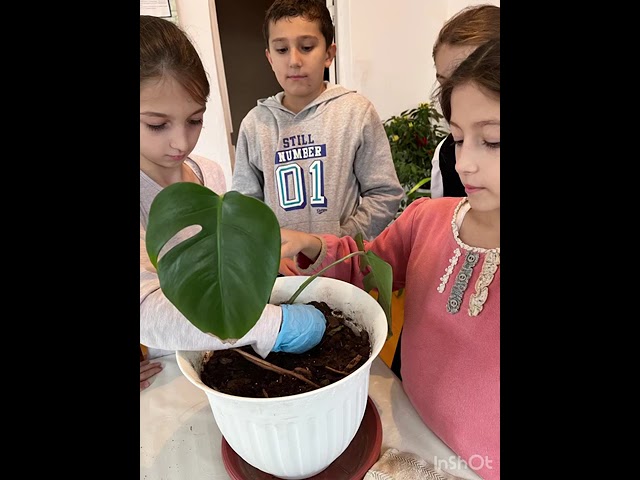 Объединение "Охрана природы"- ПДО Омарова Д.С.