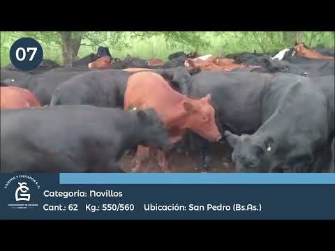 Lote NV  UE Hilton - San Pedro Bs As