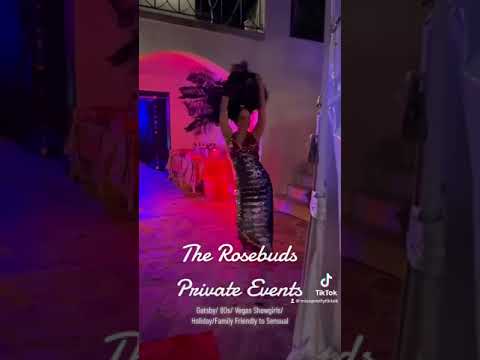 Promotional video thumbnail 5 for The Rosebuds