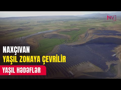 YAŞIL HƏDƏFLƏR 01.07.2025