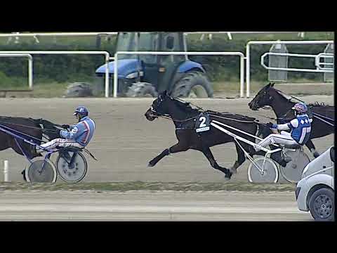Napoli Trotto 12/02/2023 - 4ª corsa