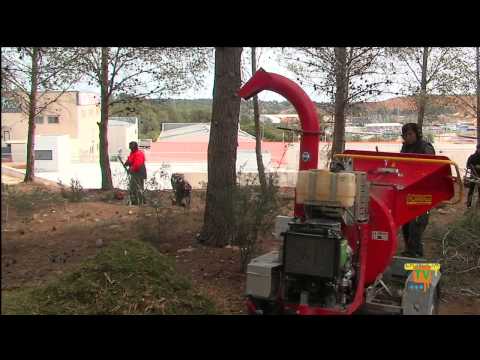 26/02/14 – El taller de empleo adecúa y limpia el perímetro forestal del Ecoparque de La Nucía