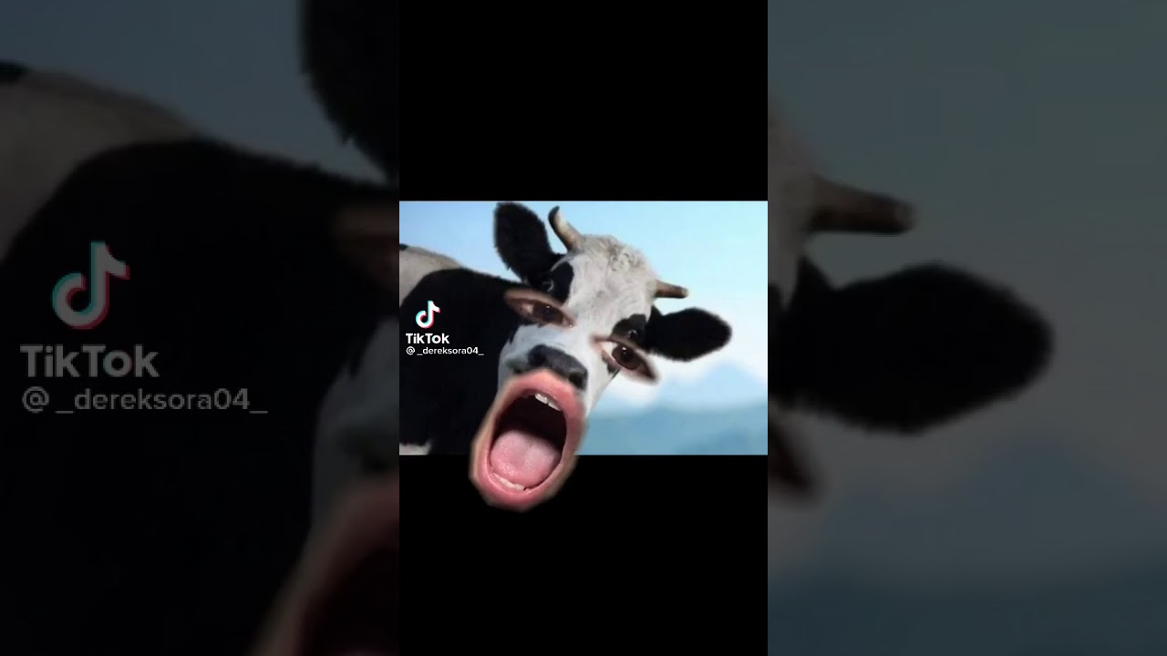 How much does a fertility test cost Australia? Tipseri