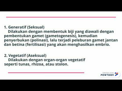 Biologi Spermatophyta KeisyaKaila X-IPA5