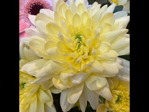 The Alchemical Theory Mix #techno