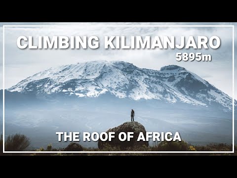 Climbing Mount Kilimanjaro, the Roof of Africa