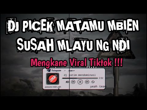 DJ PICEK MATAMU MBIEN SUSAH MLAYU NG NDI||DJ LALI KONCO REMIX MENGKANE VIRAL TIKTOK