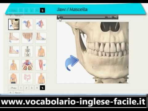 Come curare una cisti dellarticolazione del ginocchio Artrosi dei sintomi caviglia e il trattamento a casa