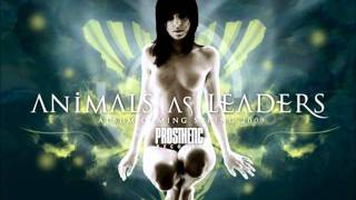 Animals As Leaders-Song of Solomon.wmv