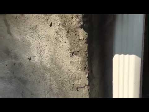Ant treatment in Monmouth Beach, NJ