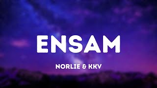 Ensam Music Video