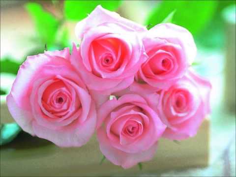 Vidéo Réalisé Par Jalane 83 Bette Midler The Rose