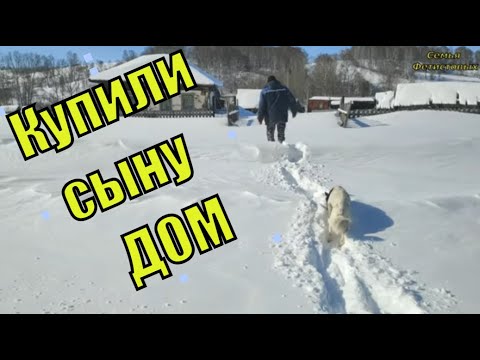 Купили дом с пчёлами/ Семья Фетистовых