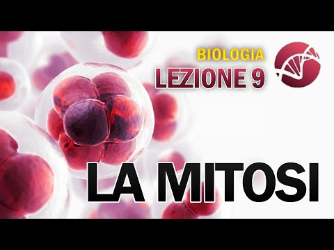 BIOLOGY - Lesson 9 - Mitosis