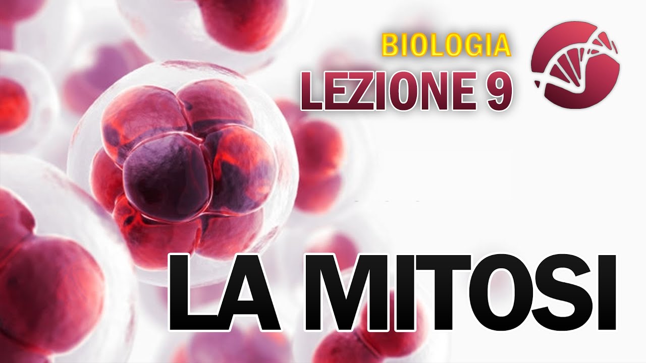 BIOLOGIA - Lezione 9 - La Mitosi