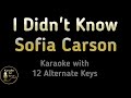 I Didn T Know Karaoke Sofia Carson Purple Hearts Instrumental Lower Higher Male Original Key